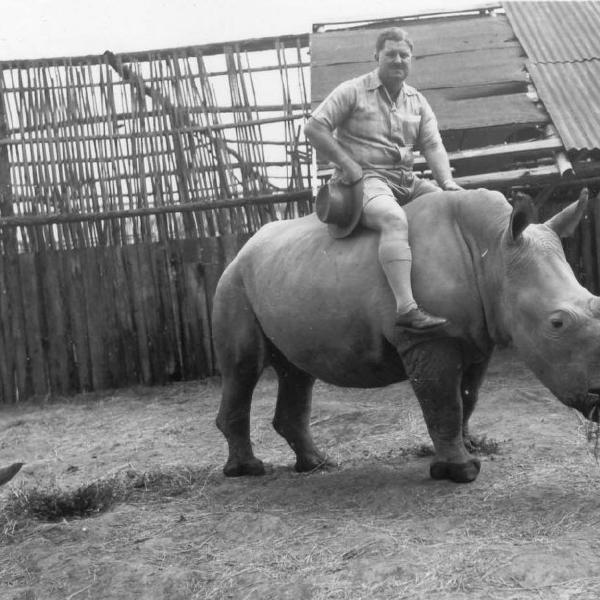 description in image caption