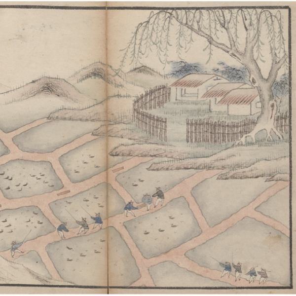 description in image caption