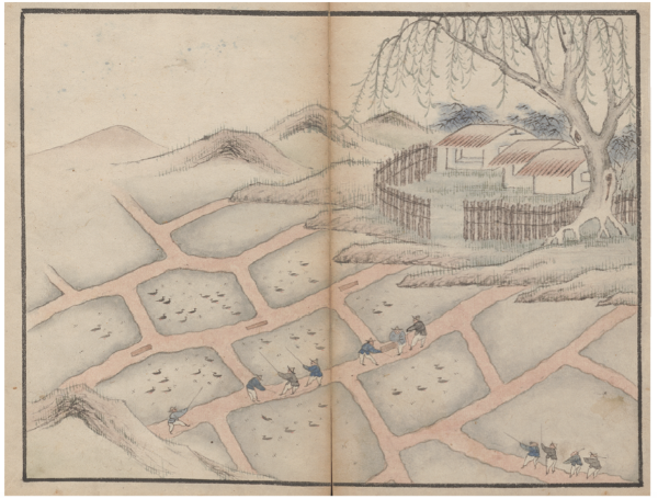 Image of Releasing ducks to devour locusts, from Li Yuan, Buhuang tuce (Illustrated Book for Catching Locusts), 1759